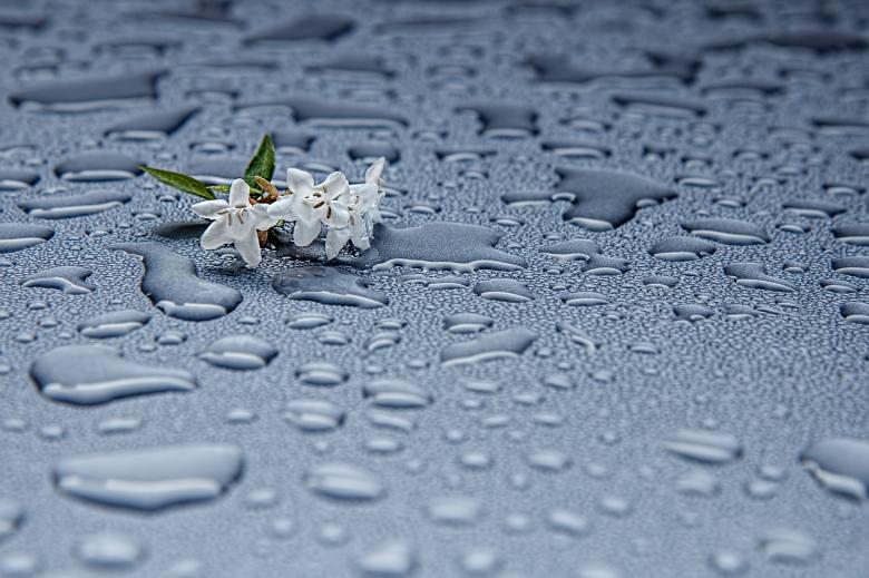Free stock image of Rain Drops created by Pixabay