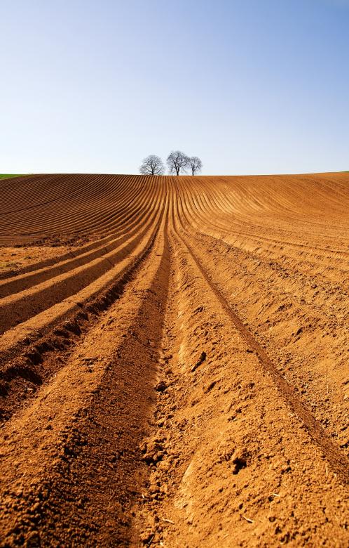 Free stock image of Arable created by Pixabay