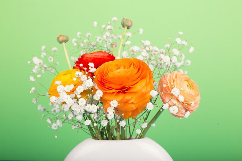 Free stock image of Fresh created by Pixabay