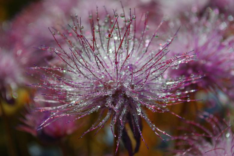 Free stock image of Nature created by Pixabay