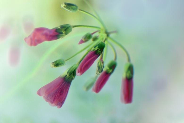 Free stock image of Nature created by Pixabay