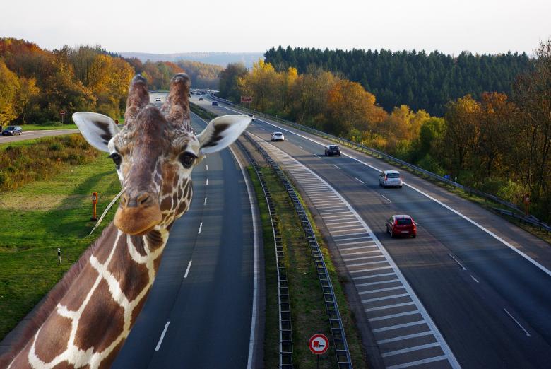Free stock image of Highway created by Pixabay