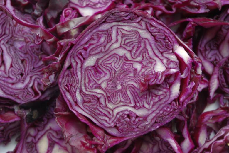Free stock image of Cabbage created by Pixabay