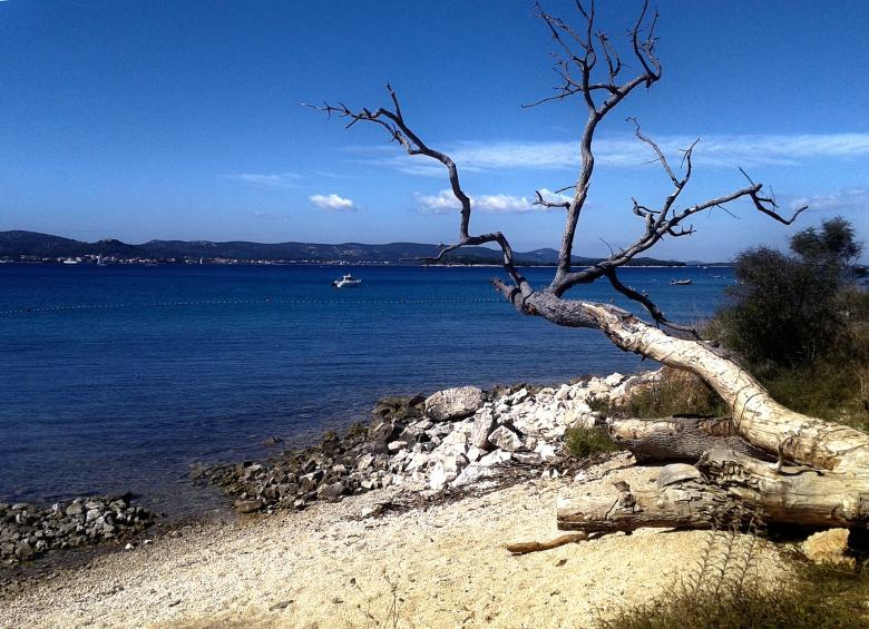 Free stock image of Shore created by Pixabay