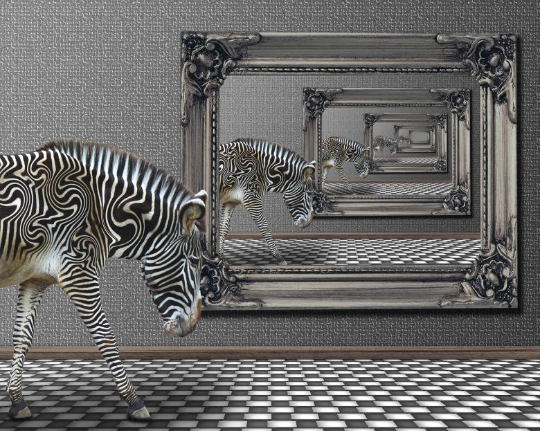 Free stock image of Animal created by Pixabay