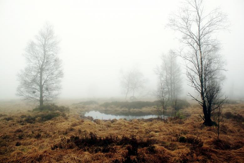 Free stock image of Foggy created by Pixabay
