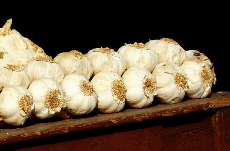 Free stock image of Garlic created by Pixabay