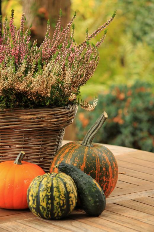 Free stock image of Pumpkin created by Pixabay