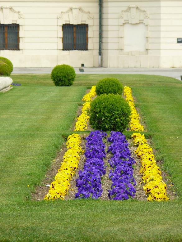 Free stock image of Garden created by Pixabay