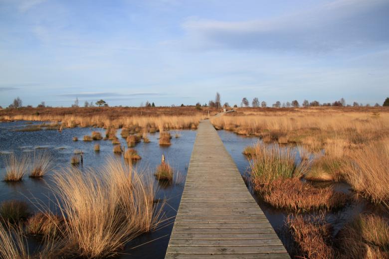 Free stock image of Landscape created by Pixabay