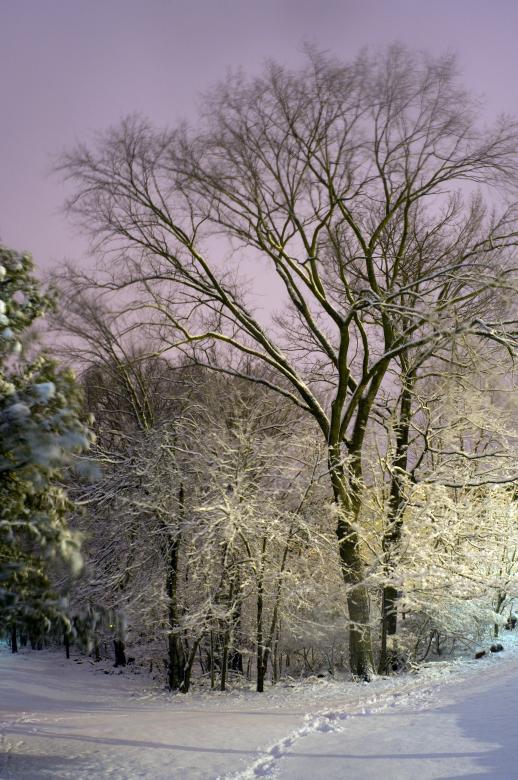 Free stock image of Winter Landscape created by Marshall Reyher