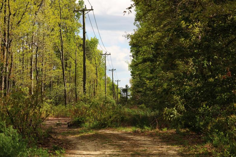 Free stock image of Power Supply Path created by Vincent alvino