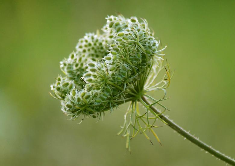 Free stock image of Nature created by Pixabay