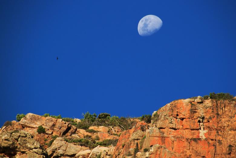 Free stock image of Landscape created by Pixabay