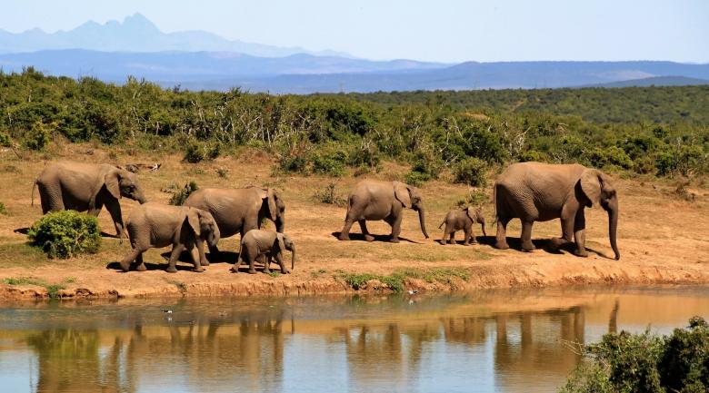 Free stock image of Africa created by Pixabay