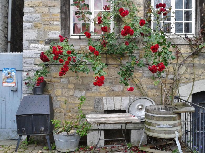Free stock image of Roses created by Pixabay