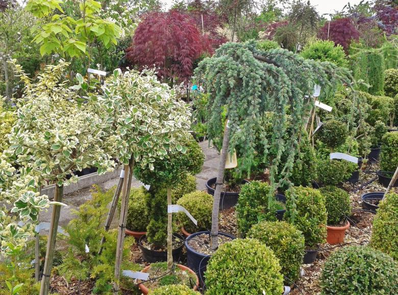Free stock image of Nursery created by Pixabay