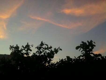 clouds at evening