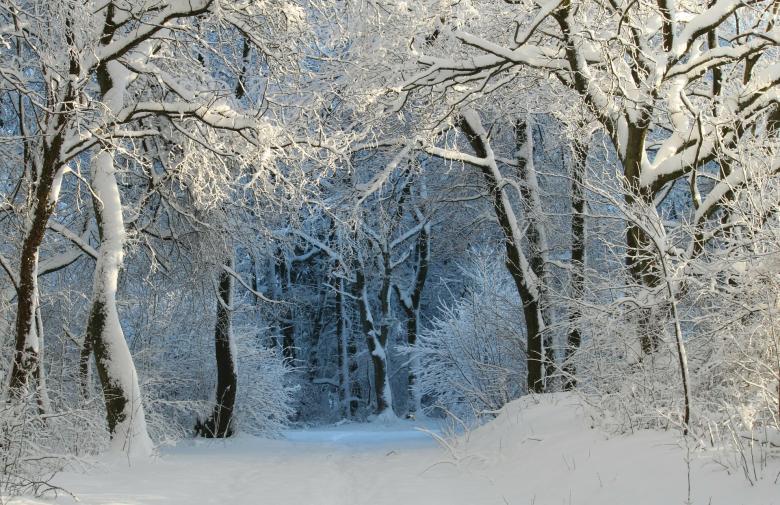 Free stock image of Frozen created by Pixabay