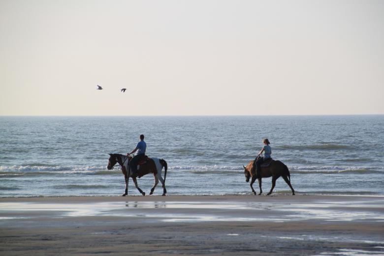 Free stock image of Beach created by Pixabay