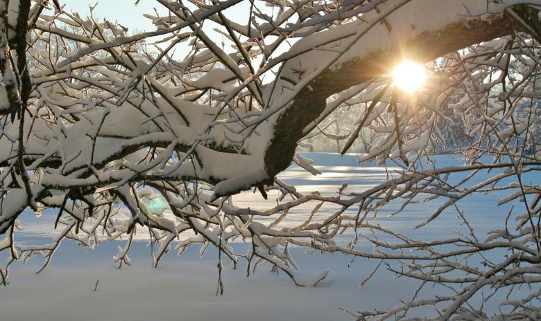 Free stock image of Frozen created by Pixabay