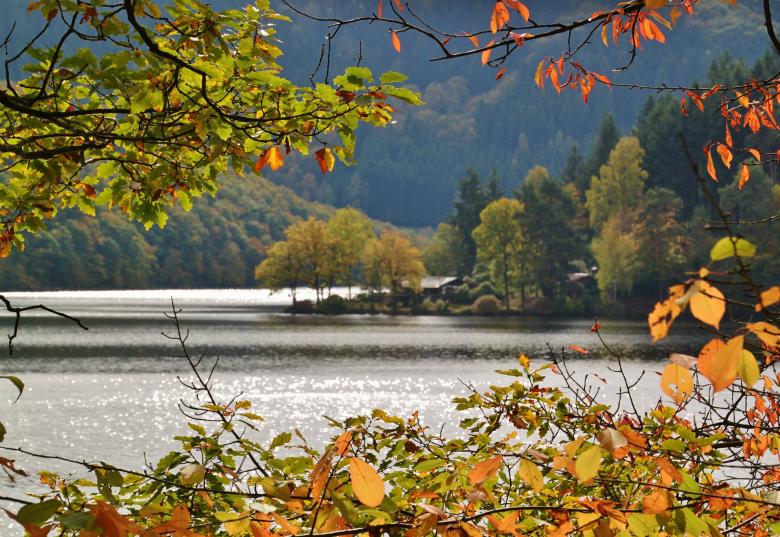 Free stock image of Lake created by Pixabay