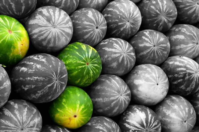 Free stock image of Melon created by Pixabay