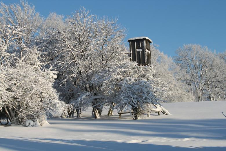 Free stock image of Winter  created by Pixabay