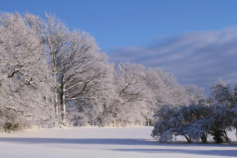 Free stock image of Winter created by Pixabay
