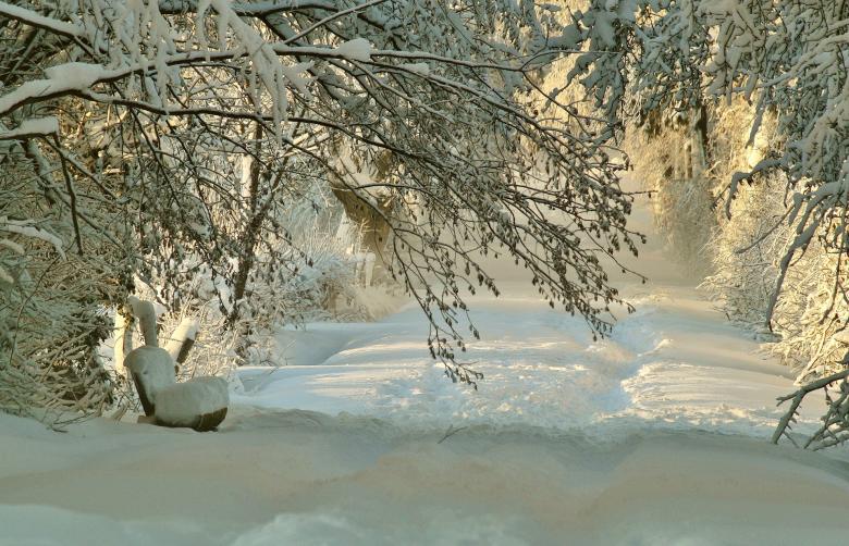 Free stock image of Frozen created by Pixabay