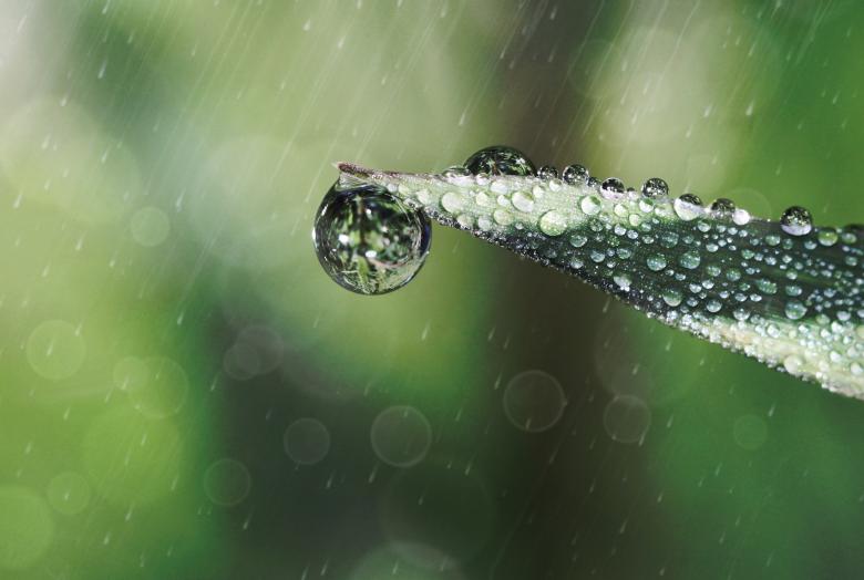 Free stock image of Raindrops created by Pixabay