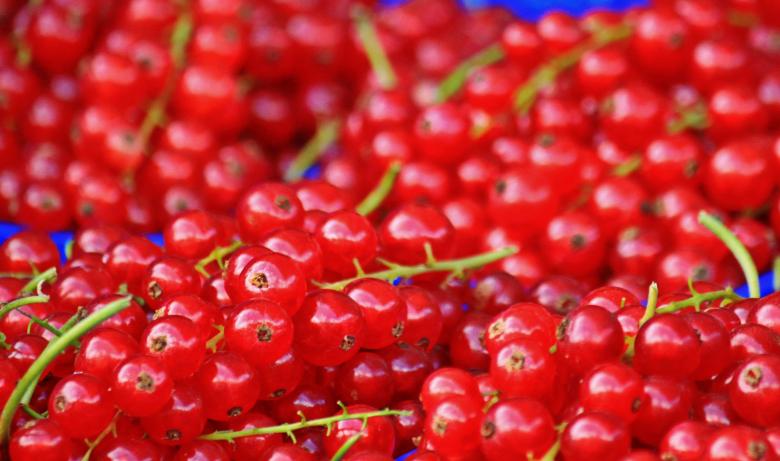 Free stock image of Red Berries created by Pixabay