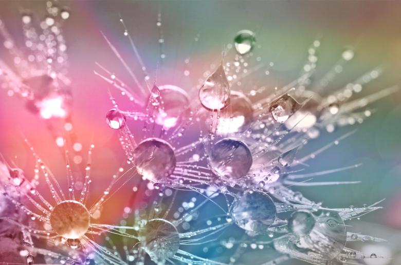 Free stock image of Colorful Drops on Plant created by Pixabay