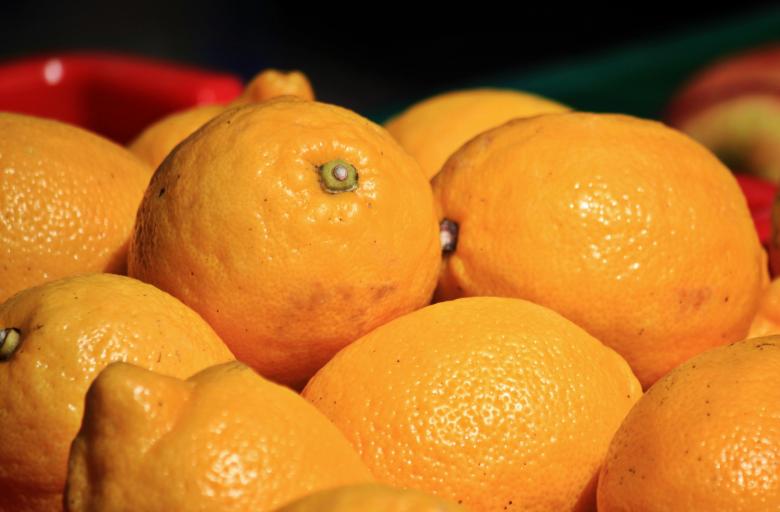 Free stock image of Fresh Oranges created by Pixabay