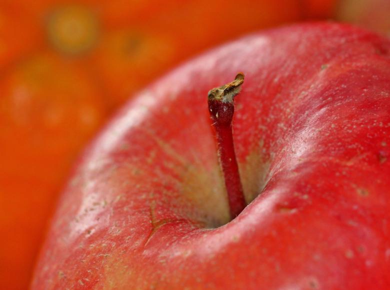 Free stock image of Fresh Apple created by Pixabay