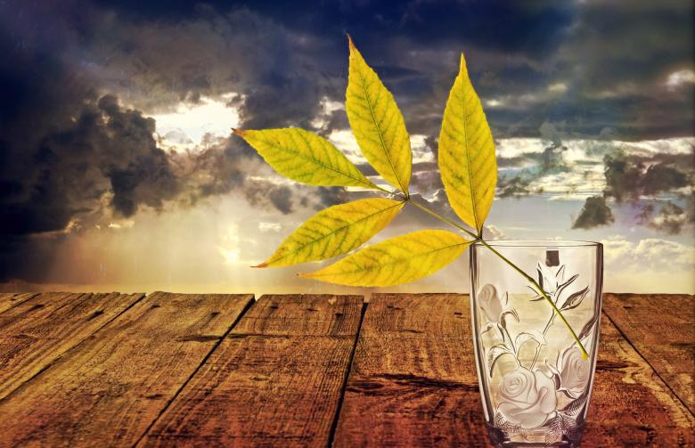 Free stock image of Still Life created by Pixabay