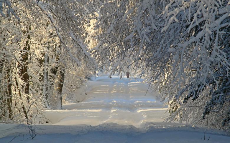 Free stock image of Frozen created by Pixabay