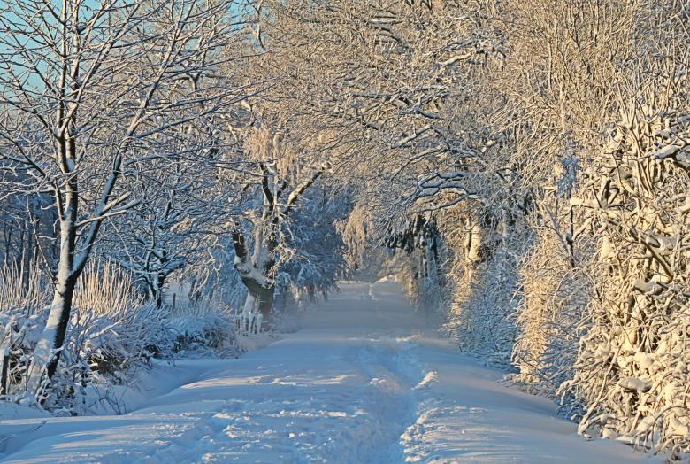 Free stock image of Winter created by Pixabay