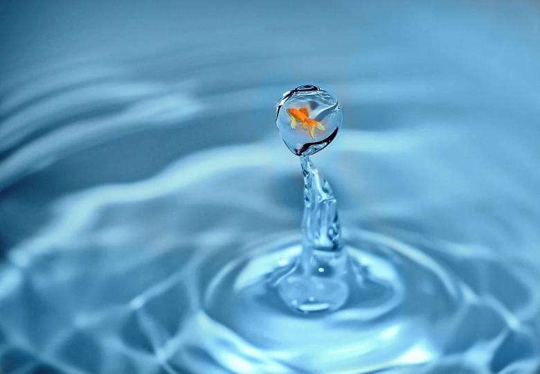 Free stock image of Fish inside a waterdrop created by Pixabay