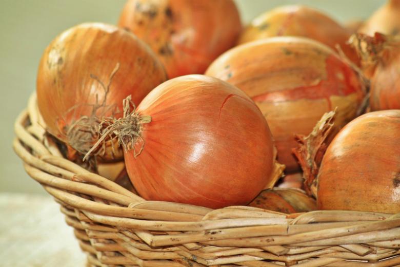 Free stock image of Onion created by Pixabay