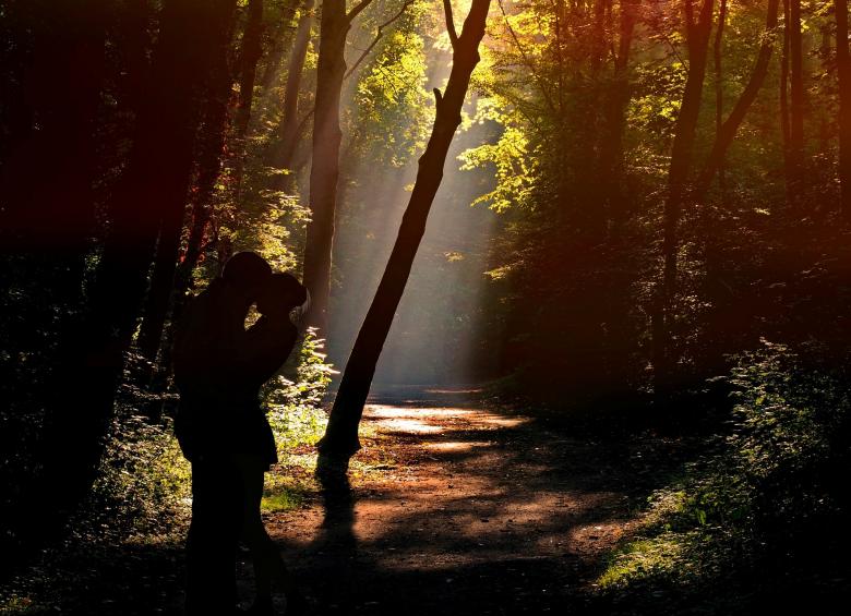 Free stock image of Lovers in the Jungle created by Pixabay