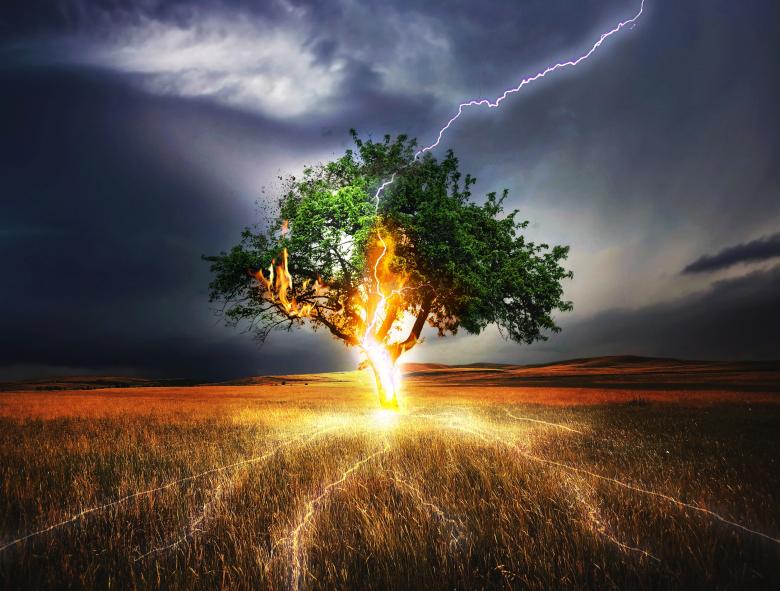 Free stock image of Lightning on the Tree created by Pixabay