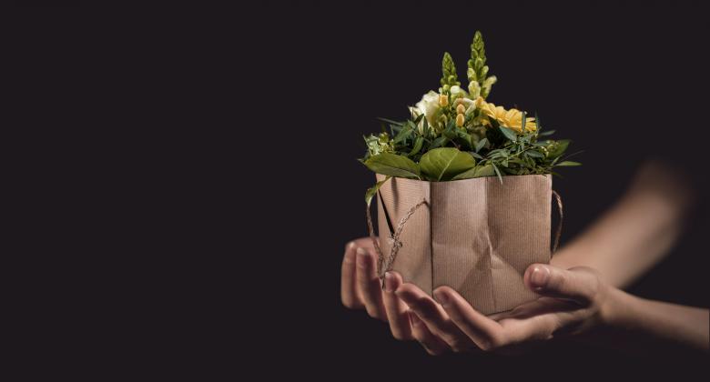 Free stock image of Fresh Flowers created by Pixabay
