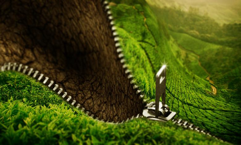 Free stock image of Nature Zip created by Pixabay