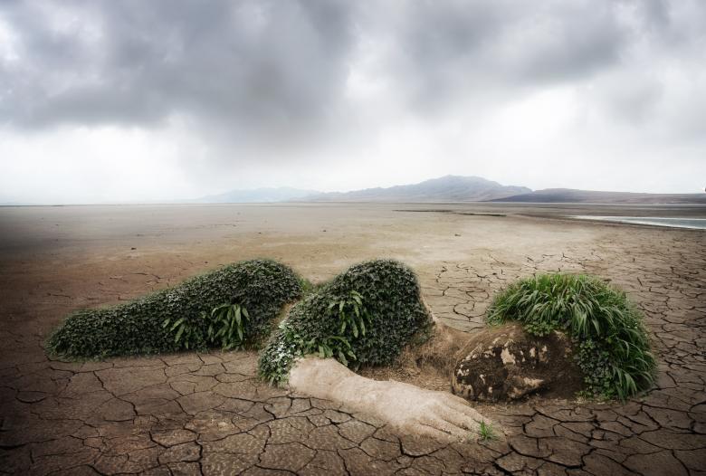 Free stock image of Mother Nature created by Pixabay