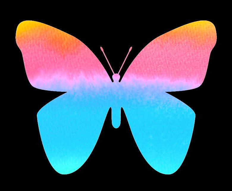 Free stock image of Butterfly created by Pixabay