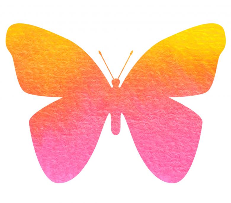Free stock image of Colorful Butterfly created by Pixabay