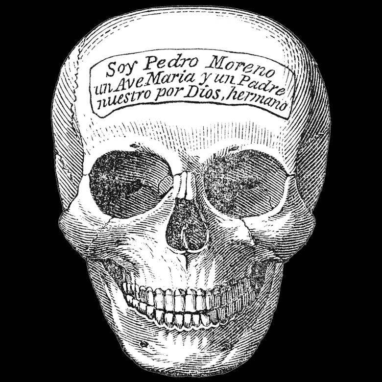 Free stock image of Skeleton Head created by Pixabay