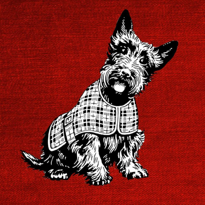 Free stock image of Scottish Dog created by Pixabay
