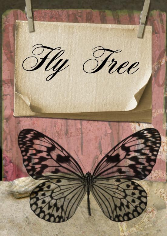 Free stock image of Fly Free created by Pixabay
